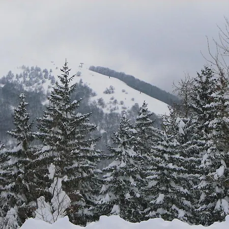 C0c00n Garden Pescasseroli