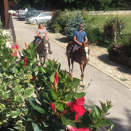 C0c00n Garden Hotel 3*