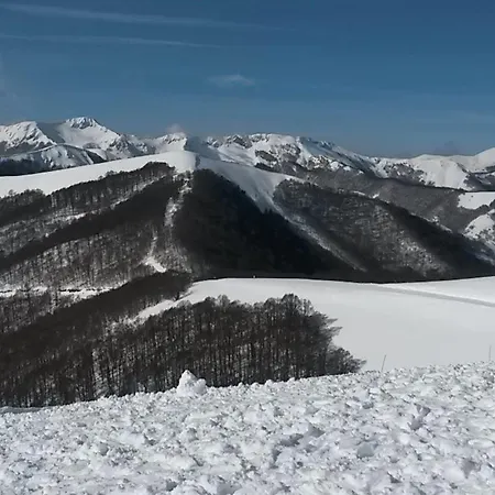C0c00n Garden Отель Пескассероли