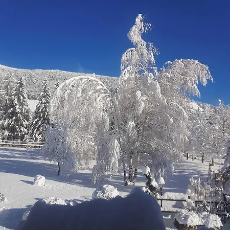 Отель C0c00n Garden 3*