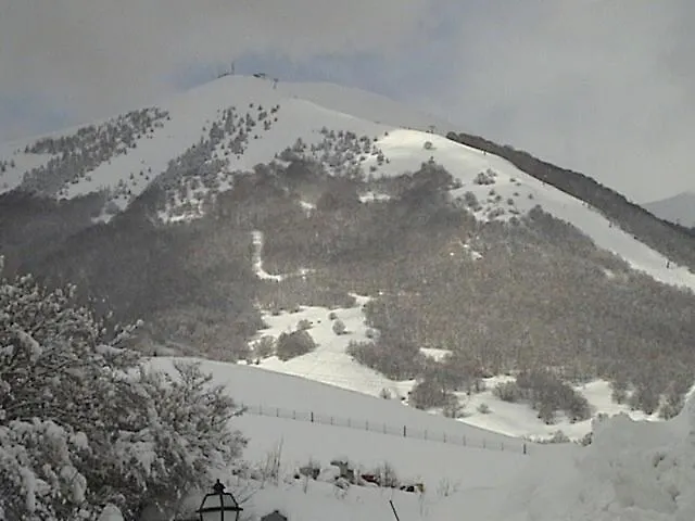 Отель C0c00n Garden 3*