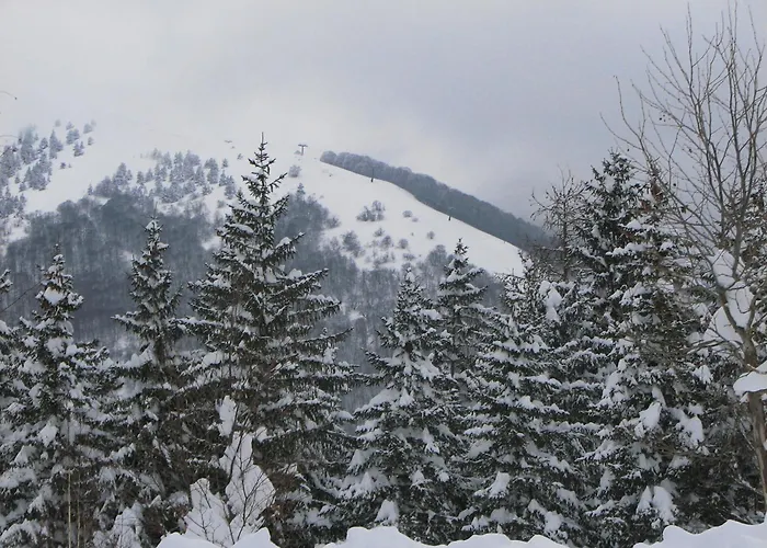 C0c00n Garden Пескассероли