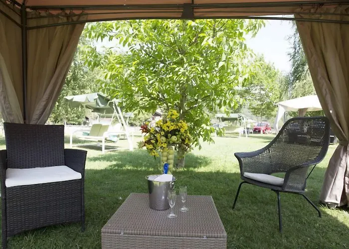 C0c00n Garden Пескассероли