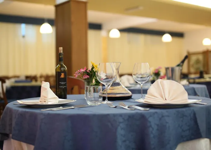 C0c00n Garden Пескассероли