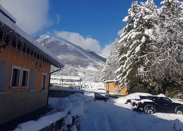 C0c00n Garden Отель