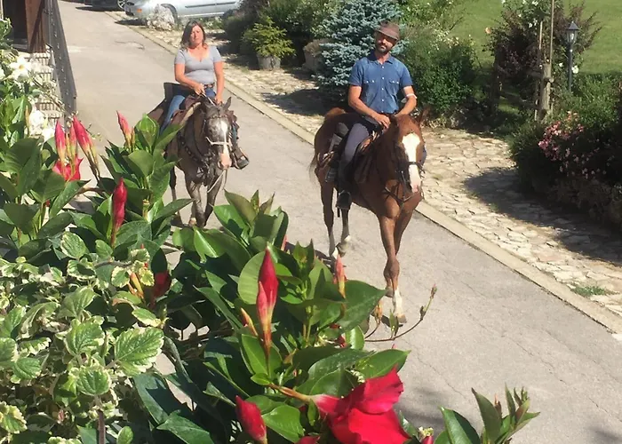 C0c00n Garden Ξενοδοχείο 3*