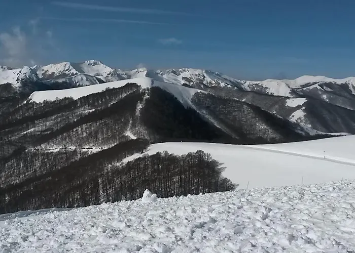 C0c00n Garden Ξενοδοχείο Pescasseroli