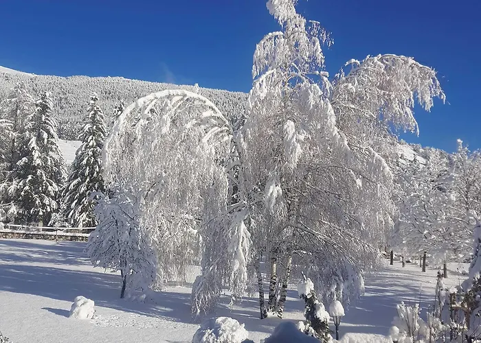 Ξενοδοχείο C0c00n Garden 3*